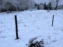 Paljon on karjaa näillä kulmilla